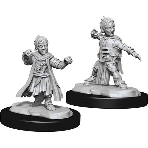 Pathfinder Mini (W15): Male Halfling Monk