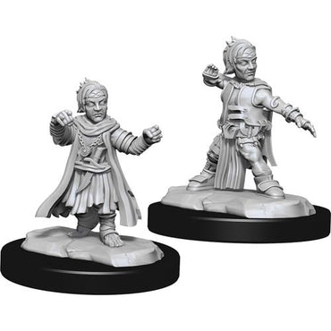 Pathfinder Mini (W15): Male Halfling Monk