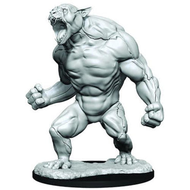 Critical Role Mini (W01): Aeorian Reverser