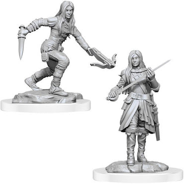 D&D Mini (W17): Female Half-Elf Rogue