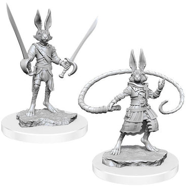 D&D Mini (W17): Harengon Rogues