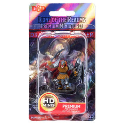 D&D Premium Painted Mini: Male Dragonborn Fighter