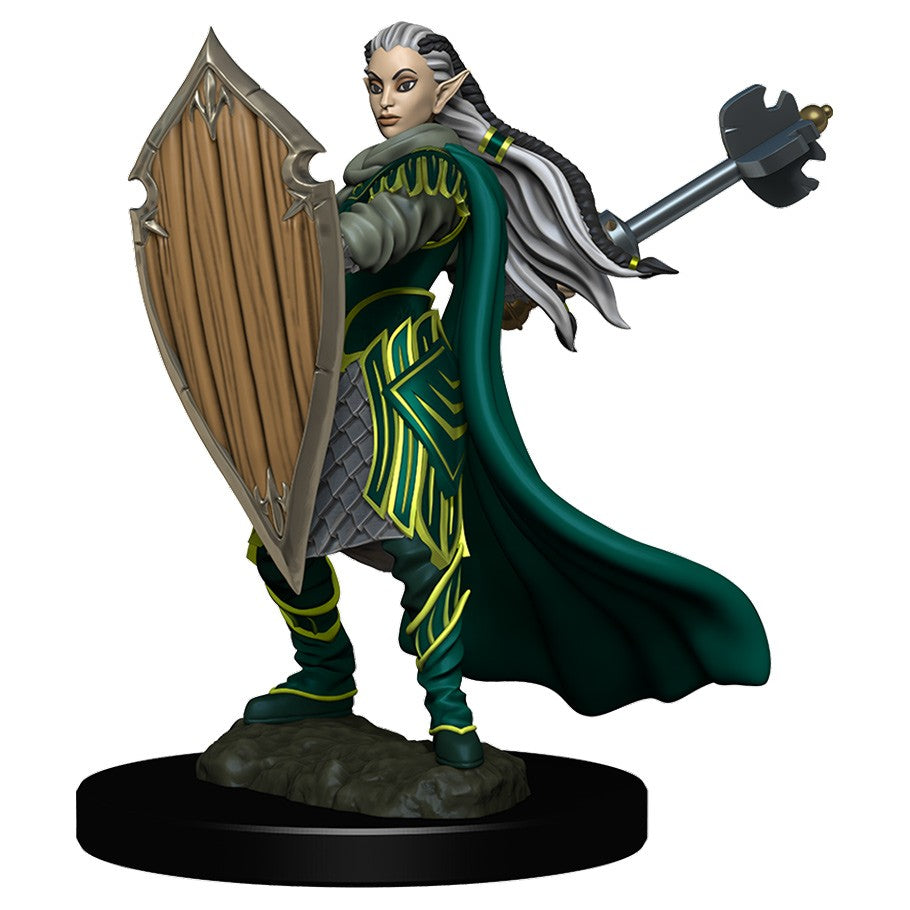 D&D Painted Mini (W04): Female Elf Paladin