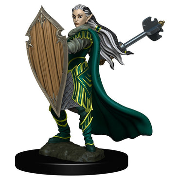 D&D Painted Mini (W04): Female Elf Paladin