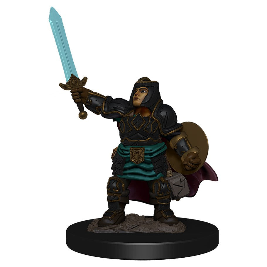 D&D Painted Mini (W04): Female Dwarf Paladin